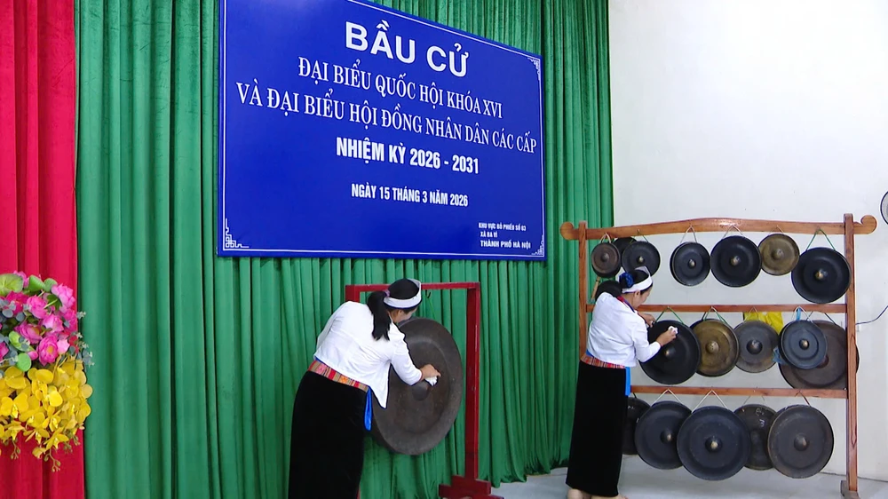 bau-cu-ha-noi-25.jpg