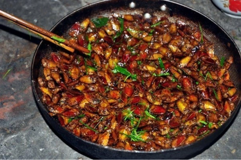 Con đặc sản xưa nhiều người “sợ xanh mặt”, nay thành đặc sản Tây Bắc tiền triệu, dân nhậu mê tít săn lùng- Ảnh 2.