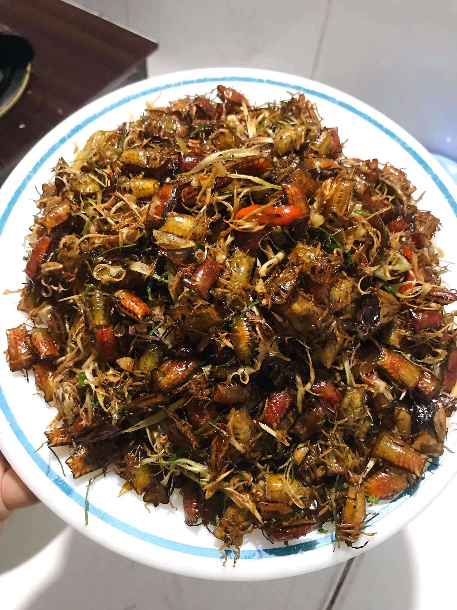 Con đặc sản xưa nhiều người “sợ xanh mặt”, nay thành đặc sản Tây Bắc tiền triệu, dân nhậu mê tít săn lùng- Ảnh 7.