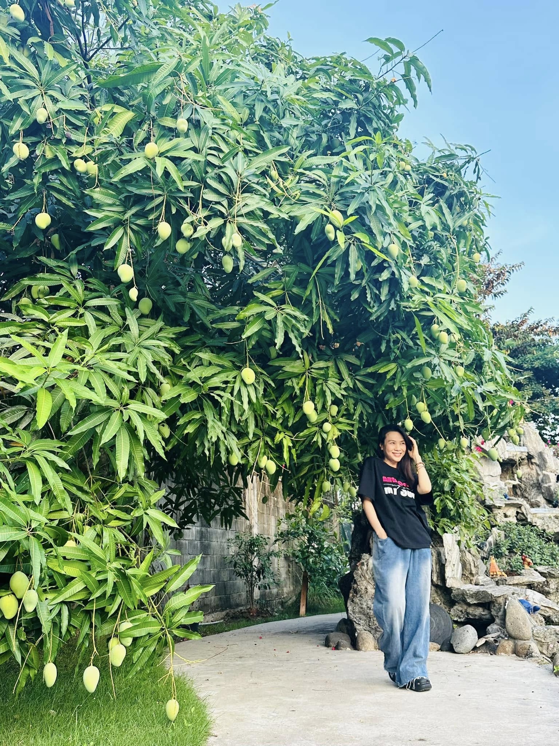 Mỹ Tâm tuổi 45: Ở nhà vườn nghìn m2, 9 năm kín tiếng bên Mai Tài Phến - 3