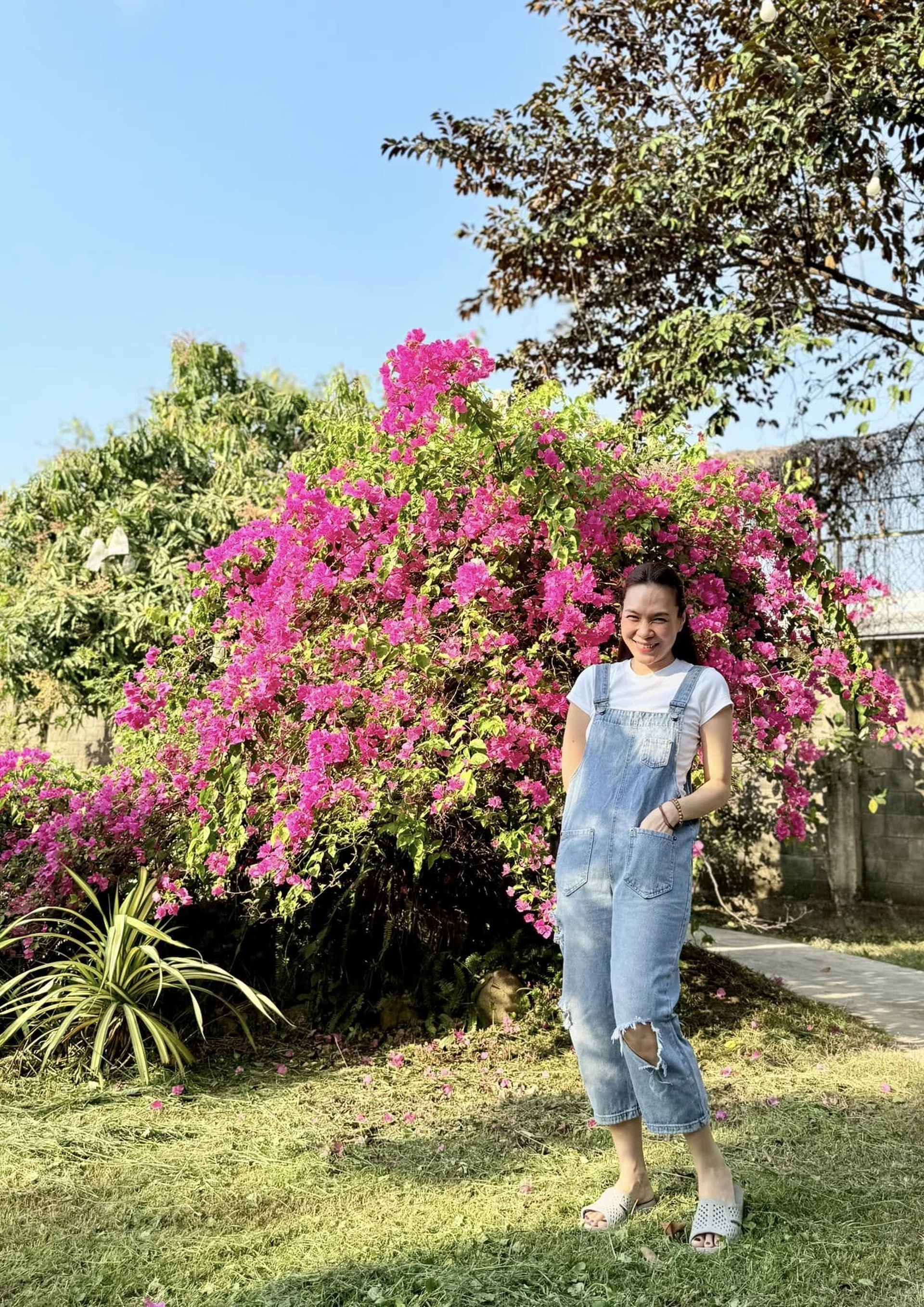 Mỹ Tâm tuổi 45: Ở nhà vườn nghìn m2, 9 năm kín tiếng bên Mai Tài Phến - 5