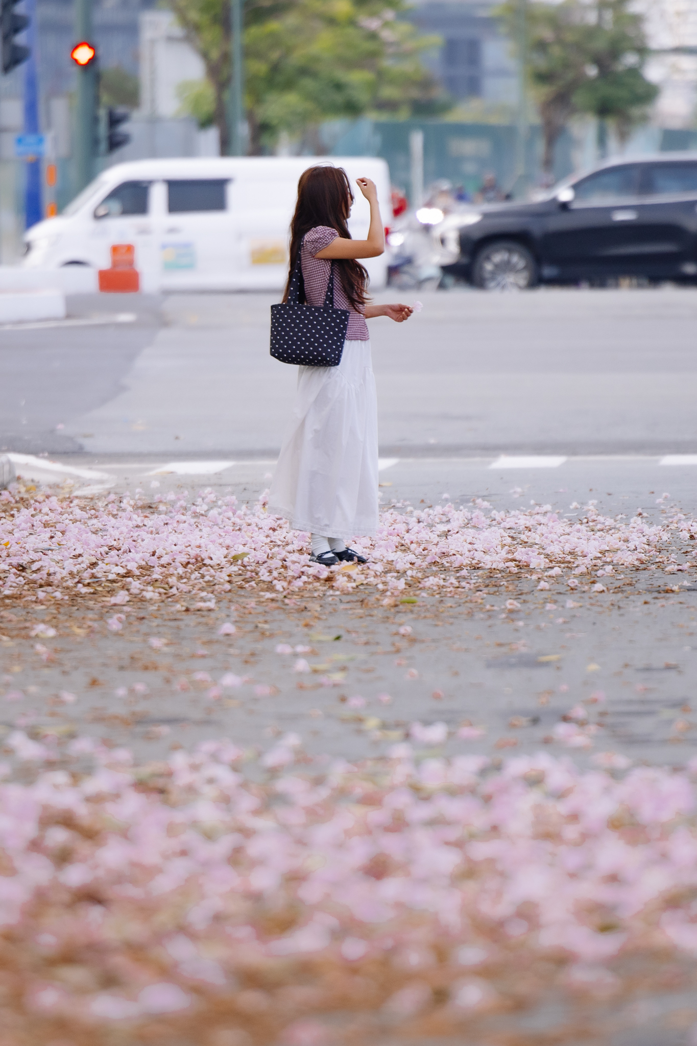 Giữa cái nắng gắt ở TP.HCM, dân tình đồng loạt đi chậm lại ngắm hàng kèn hồng hiếm hoi trong năm- Ảnh 11.