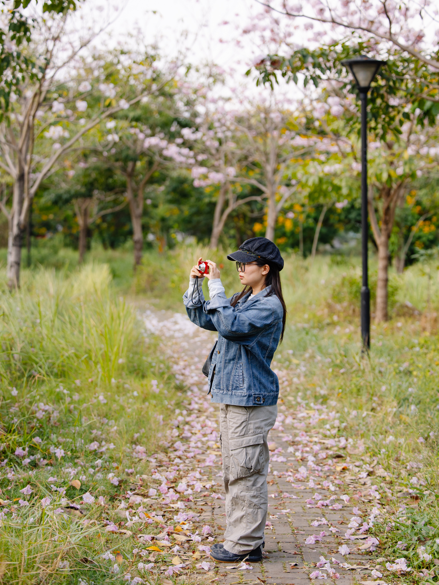 Giữa cái nắng gắt ở TP.HCM, dân tình đồng loạt đi chậm lại ngắm hàng kèn hồng hiếm hoi trong năm- Ảnh 10.