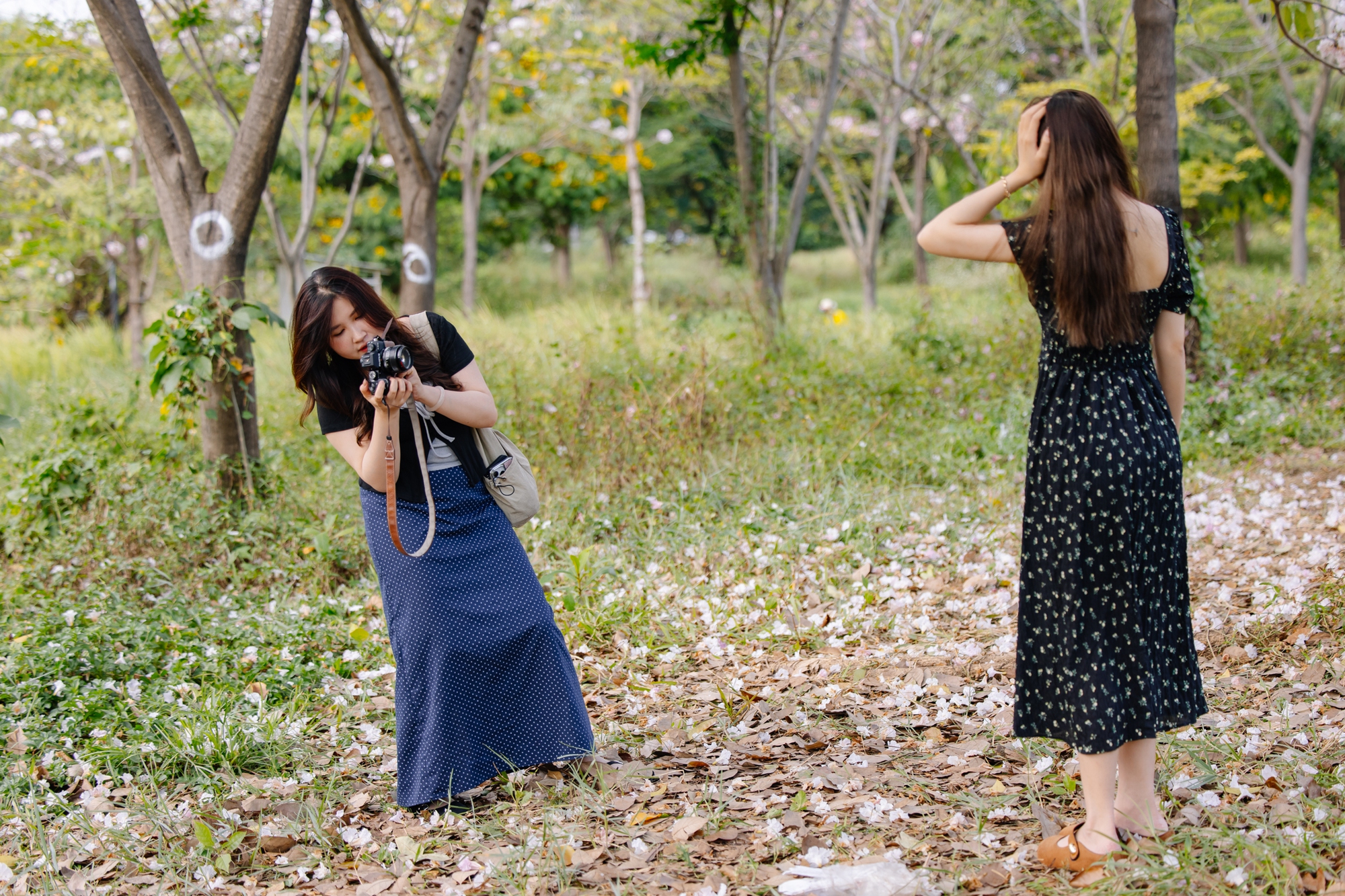 Giữa cái nắng gắt ở TP.HCM, dân tình đồng loạt đi chậm lại ngắm hàng kèn hồng hiếm hoi trong năm- Ảnh 21.