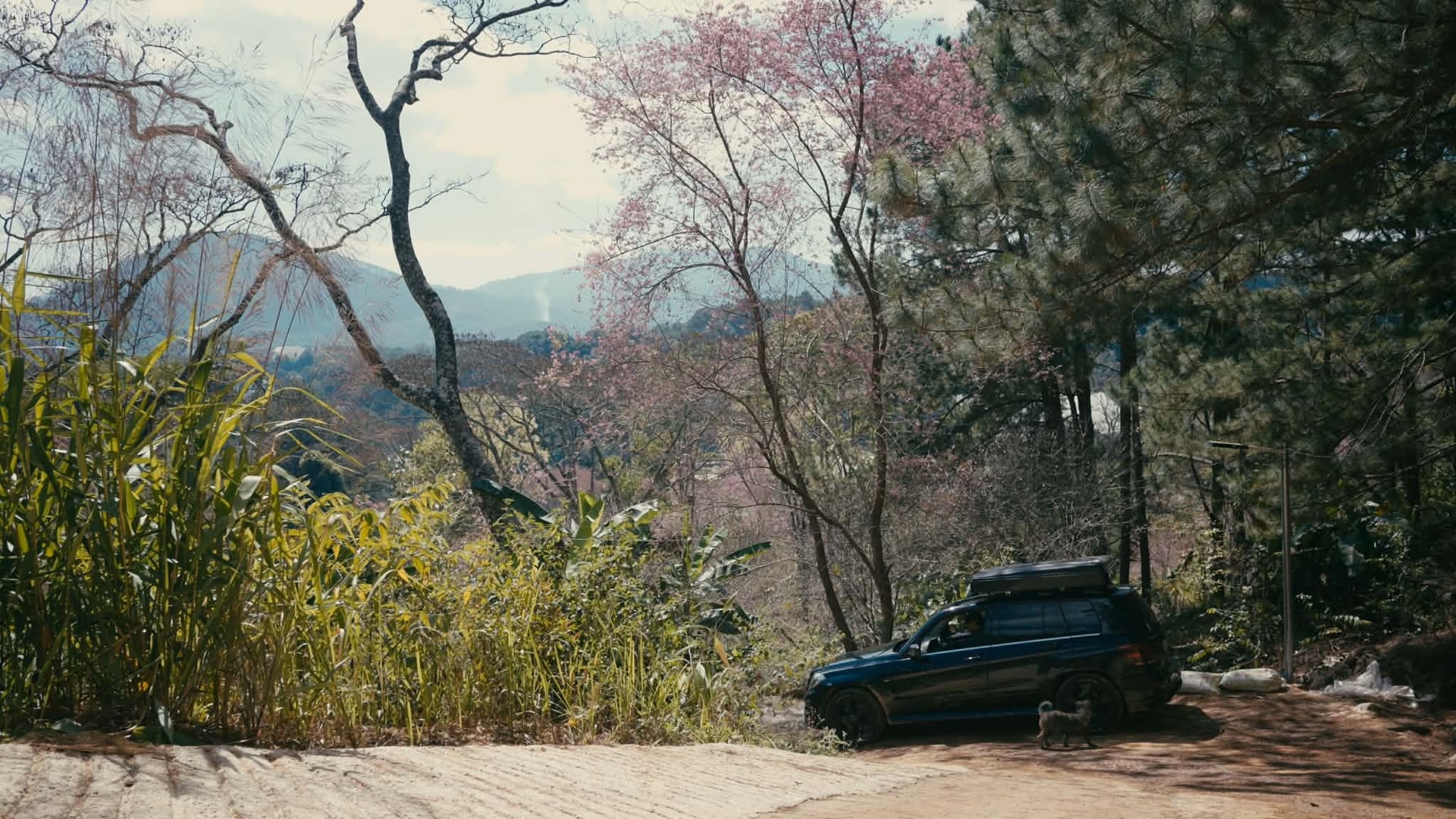 Gia đình lái Mercedes rong ruổi 4.000km và trải nghiệm hố vôi xe Đức cũ - 10