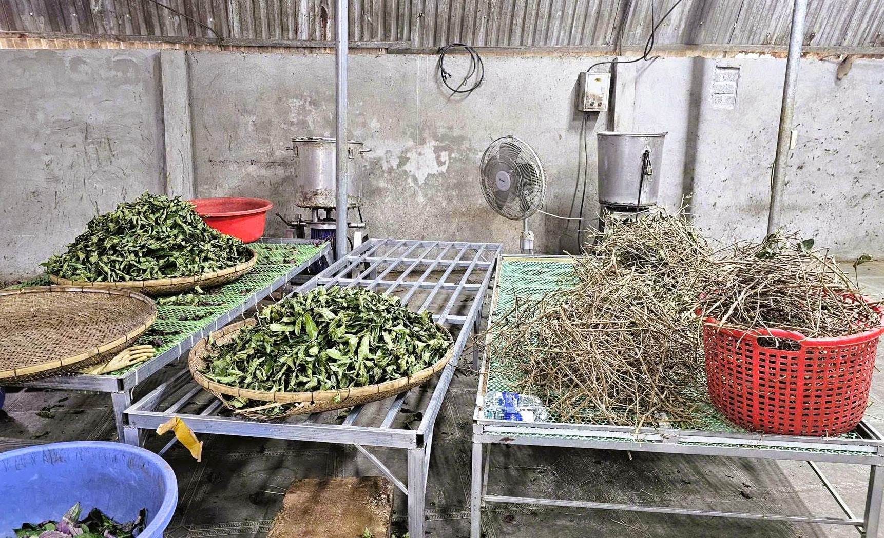 1773379760 169 Than y dom Hoang Minh Duong tung bi xu phat