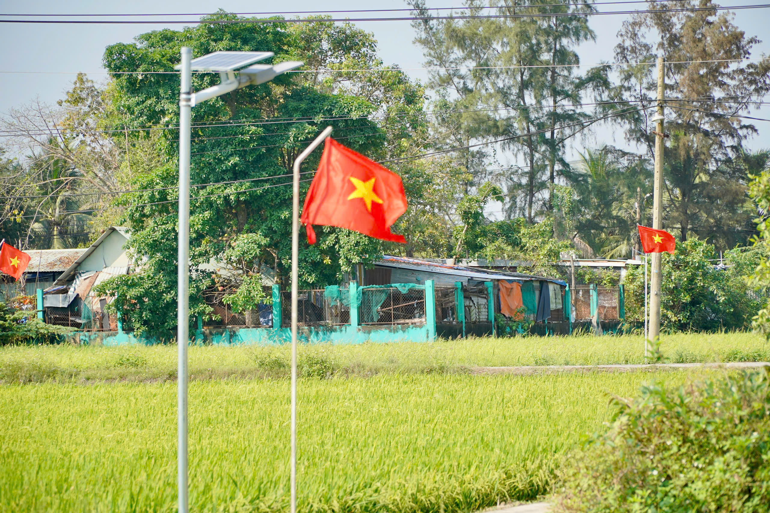 Thắp sáng con đường vào nhà Mẹ Việt Nam anh hùng ở xã Tân Nhựt - Ảnh 4.