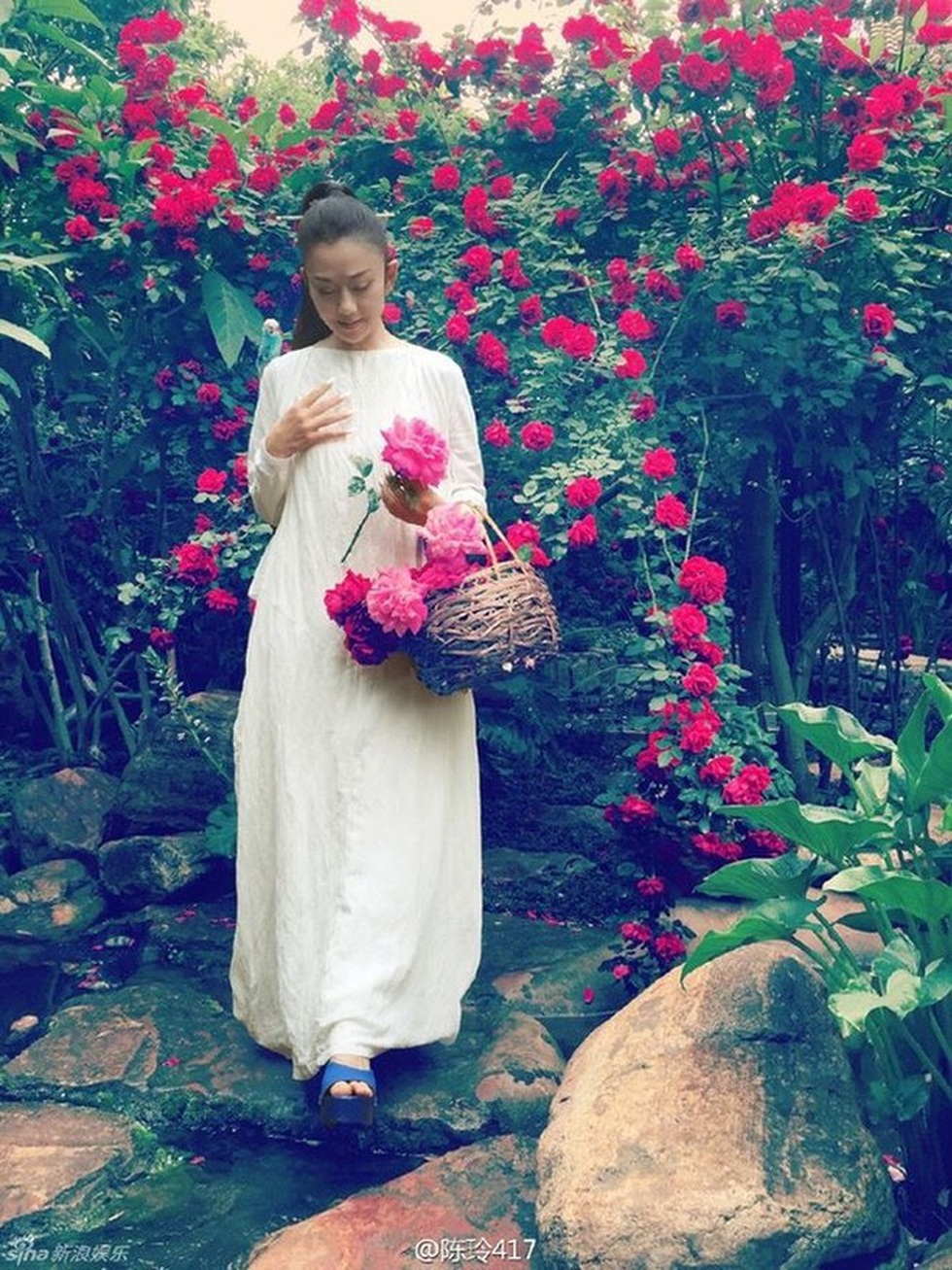 Hai cuộc hôn nhân dang dở và quyết định không sinh con của Dương Lệ Bình - 5