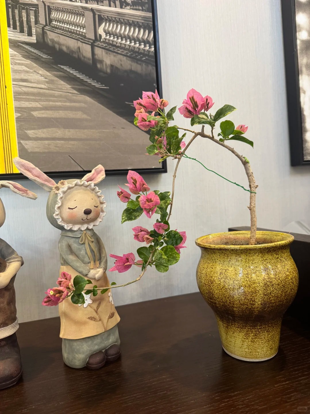 Giải mã cơn sốt chưng hoa giấy bonsai mini: Cây đong đầy năng lượng dương giúp xua tà khí, nhà chật mấy cũng rước được vượng khí vào nhà- Ảnh 8.