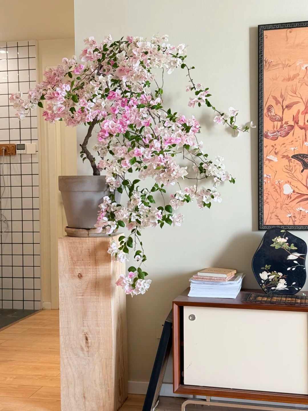 Giải mã cơn sốt chưng hoa giấy bonsai mini: Cây đong đầy năng lượng dương giúp xua tà khí, nhà chật mấy cũng rước được vượng khí vào nhà- Ảnh 12.