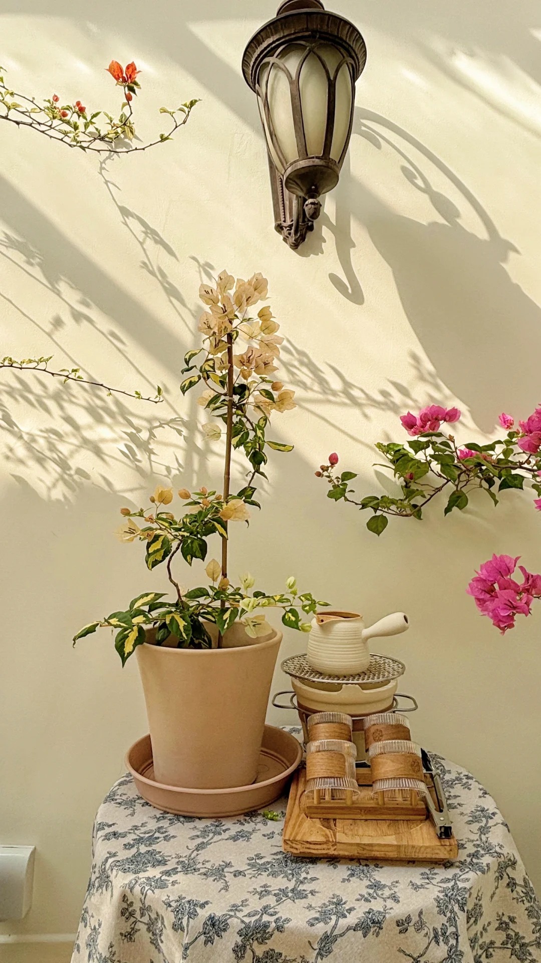 Giải mã cơn sốt chưng hoa giấy bonsai mini: Cây đong đầy năng lượng dương giúp xua tà khí, nhà chật mấy cũng rước được vượng khí vào nhà- Ảnh 15.