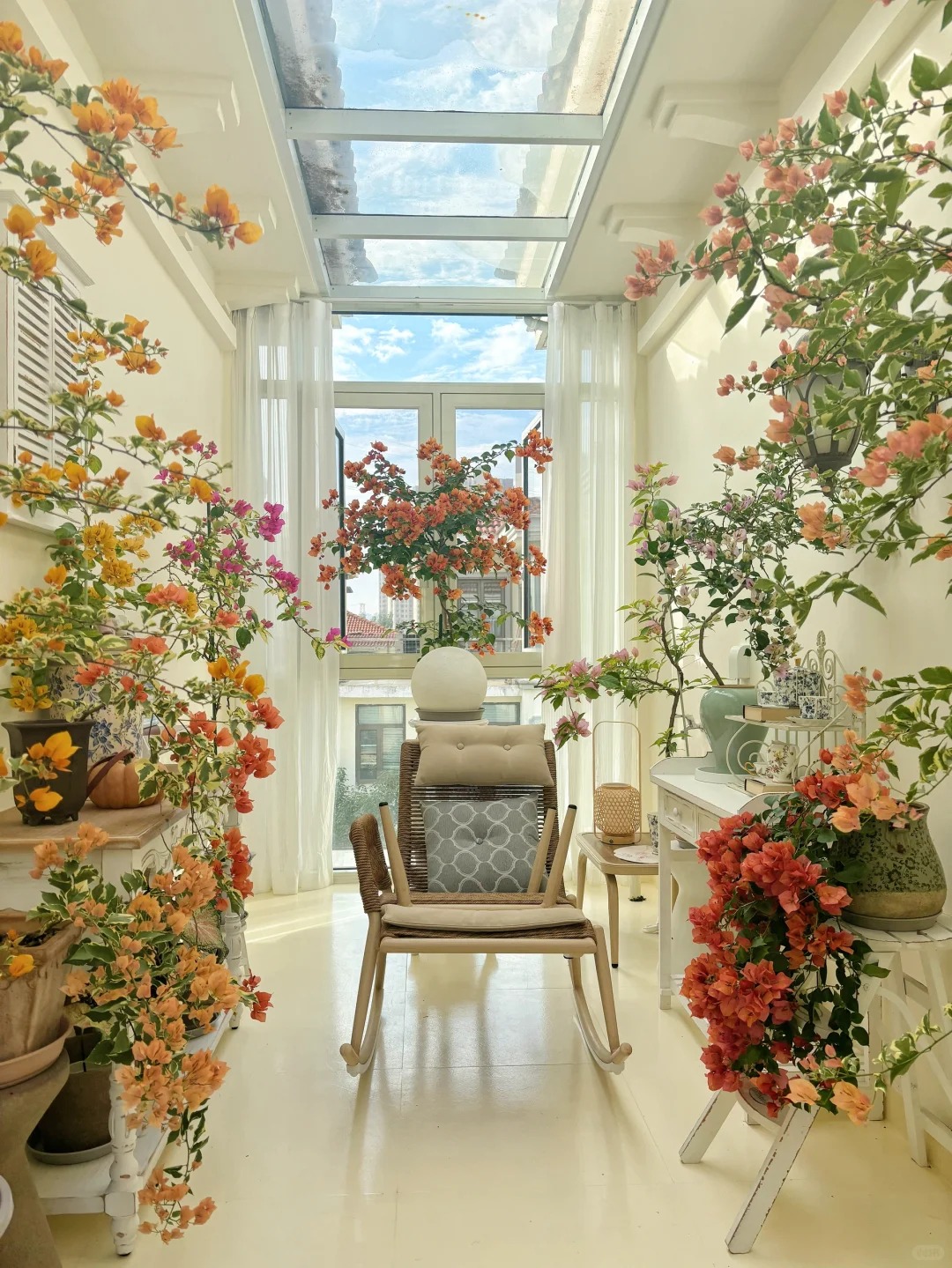 Giải mã cơn sốt chưng hoa giấy bonsai mini: Cây đong đầy năng lượng dương giúp xua tà khí, nhà chật mấy cũng rước được vượng khí vào nhà- Ảnh 16.