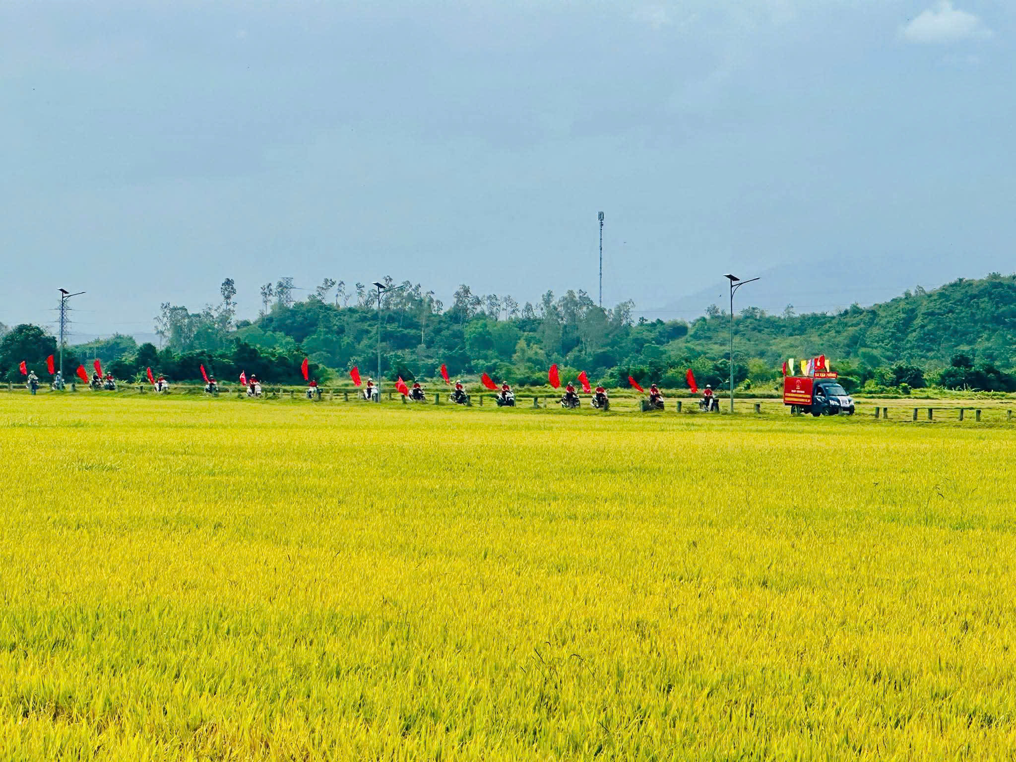 Khánh Hòa rực rỡ cờ hoa chào ngày hội bầu cử - Ảnh 11.
