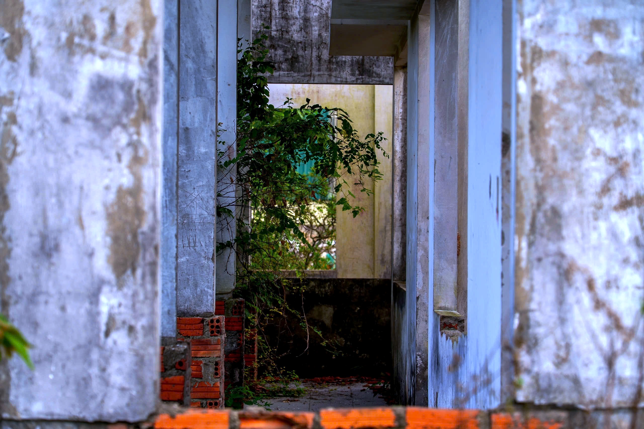 Đà Nẵng: Cận cảnh nhà hỏa táng 'ma' 13 tỉ đồng bỏ hoang hơn 2 thập kỷ- Ảnh 2. Đà Nẵng: Cận cảnh nhà hỏa táng 'ma' 13 tỉ đồng bỏ hoang hơn 2 thập kỷ- Ảnh 2.