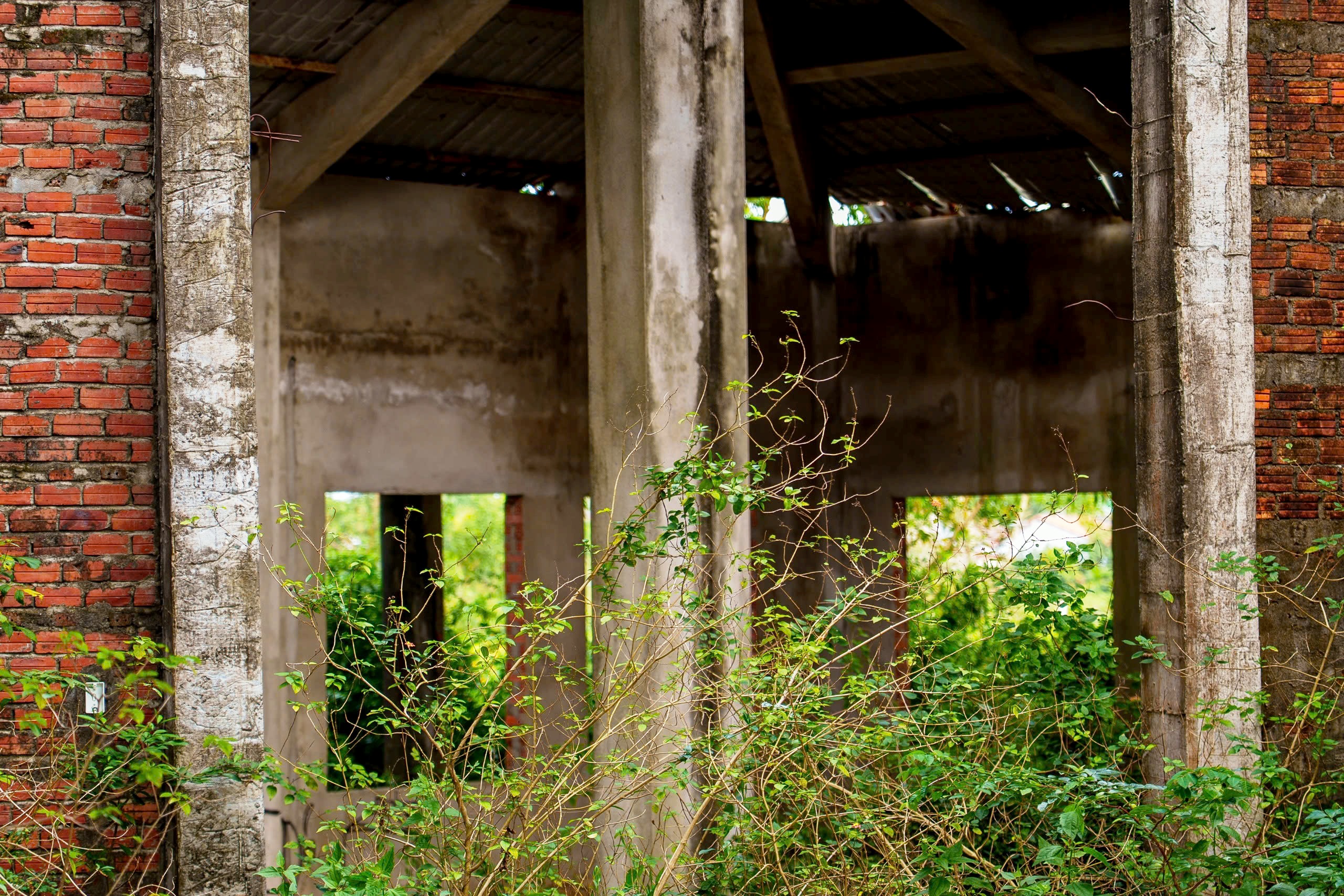 Đà Nẵng: Cận cảnh nhà hỏa táng 'ma' 13 tỉ đồng bỏ hoang hơn 2 thập kỷ- Ảnh 11. Đà Nẵng: Cận cảnh nhà hỏa táng 'ma' 13 tỉ đồng bỏ hoang hơn 2 thập kỷ- Ảnh 11.