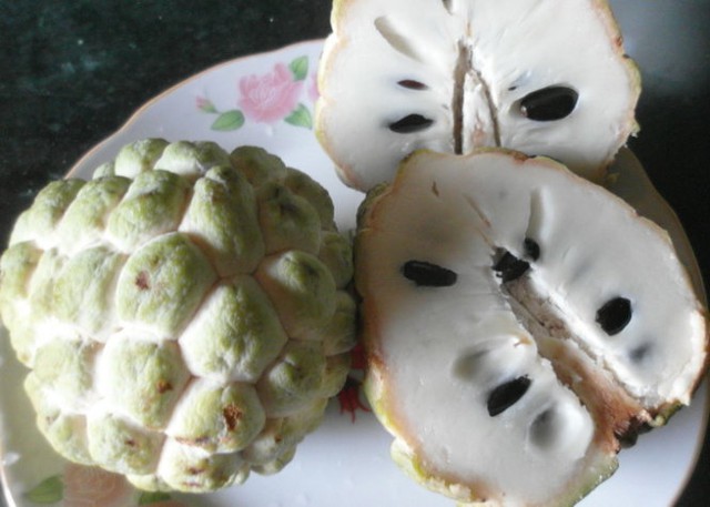 Đặc sản vùng núi phía Bắc được ví như 