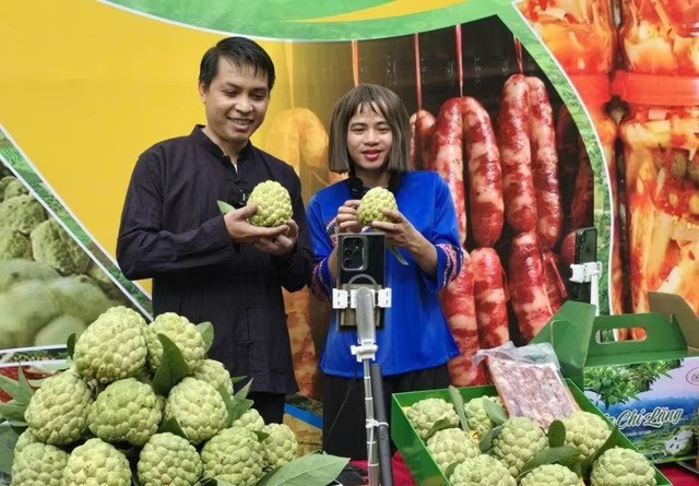 Đặc sản vùng núi phía Bắc được ví như 