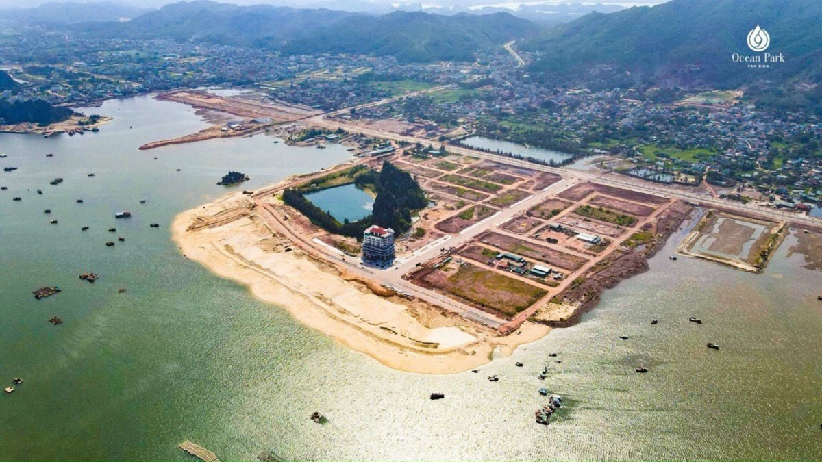 Vụ ông trùm cát ở Vân Đồn bị bắt: Nợ thuế và phá sản 2026 - Ảnh 2.