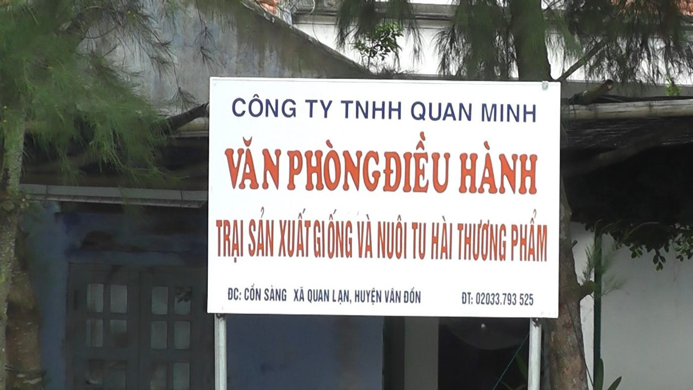 Vụ ông trùm cát ở Vân Đồn bị bắt: Nợ thuế và phá sản 2026 - Ảnh 3.