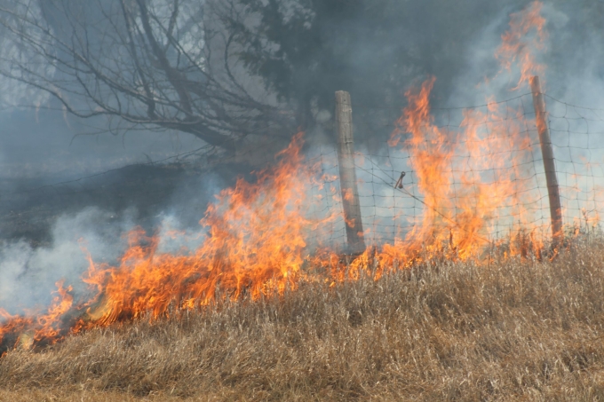 Cháy rừng ở Nebraska, Mỹ, ngày 13/3. Ảnh: Central Nebraska Today