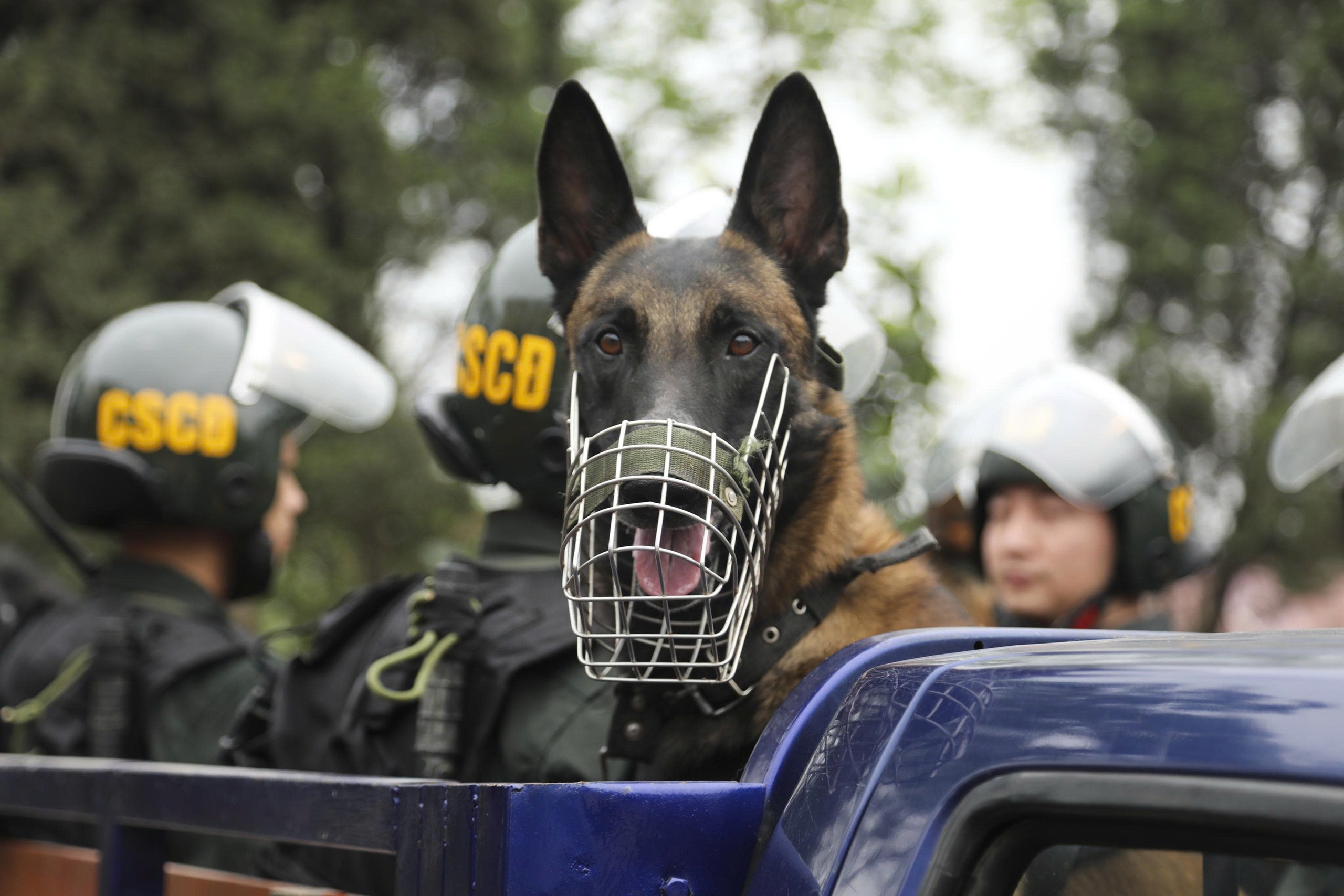 Xem cảnh sát cơ động luyện tập, sẵn sàng bảo vệ tuyệt đối an ninh, an toàn ngày bầu cử 12 bầu cử - Ảnh 12.