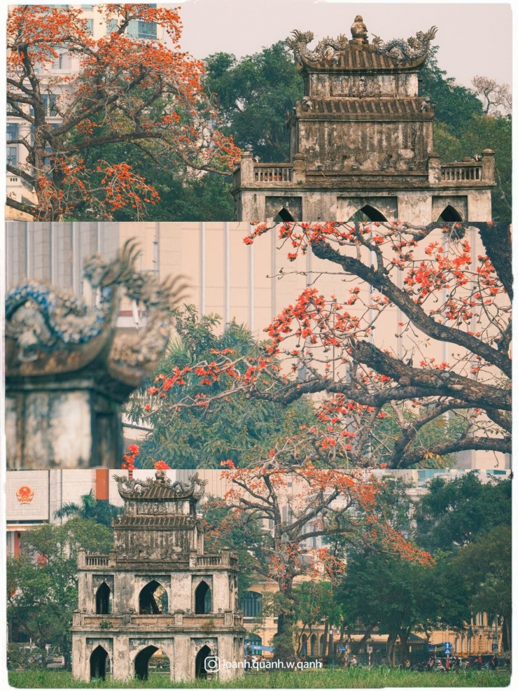 Ngắm loạt ảnh mùa cây thay lá, hiểu vì sao Hà Nội lọt top 50 thành phố đẹp nhất thế giới 3 Ngắm loạt ảnh mùa cây thay lá, hiểu vì sao Hà Nội lọt top 50 thành phố đẹp nhất thế giới - 2