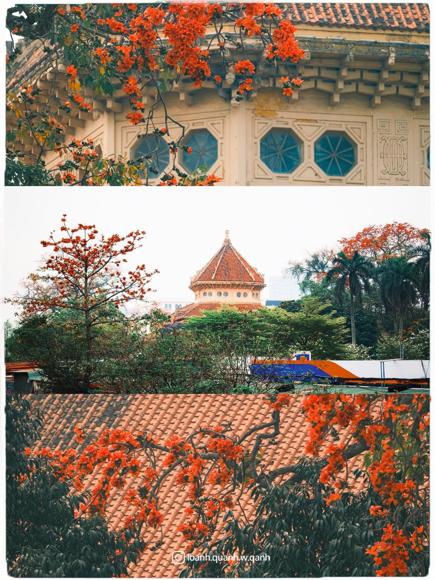 Ngắm loạt ảnh mùa cây thay lá, hiểu vì sao Hà Nội lọt top 50 thành phố đẹp nhất thế giới 4 Ngắm loạt ảnh mùa cây thay lá, hiểu vì sao Hà Nội lọt top 50 thành phố đẹp nhất thế giới - 3