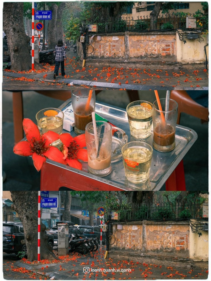 Ngắm loạt ảnh mùa cây thay lá, hiểu vì sao Hà Nội lọt top 50 thành phố đẹp nhất thế giới 7 Ngắm loạt ảnh mùa cây thay lá, hiểu vì sao Hà Nội lọt top 50 thành phố đẹp nhất thế giới - 6