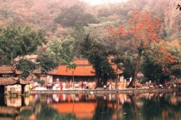 Ngắm hoa gạo nở đỏ rực bên ngôi chùa ngàn năm tuổi ở Hà Nội