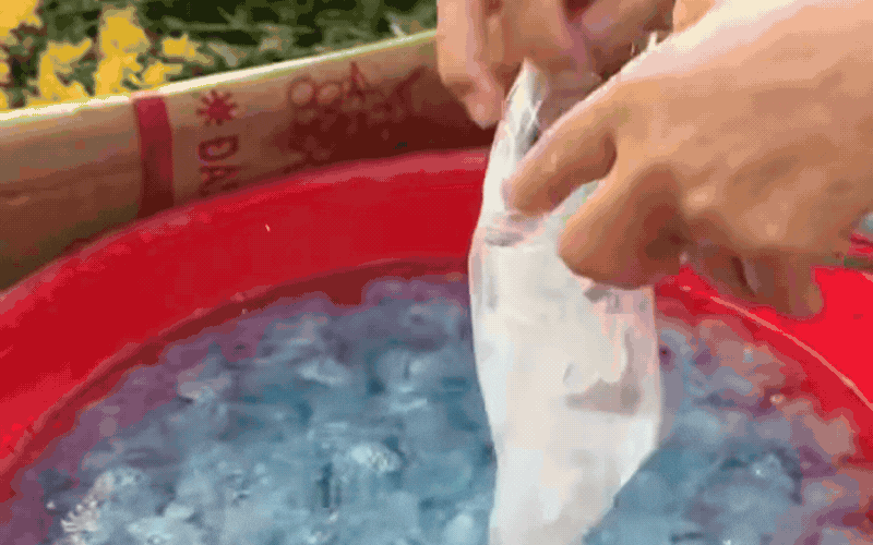 Đặc sản này ở Huế đã vào mùa: Màu xanh trong veo mát mắt, dân bản địa mê mệt có khi chẳng có mà ăn- Ảnh 4.