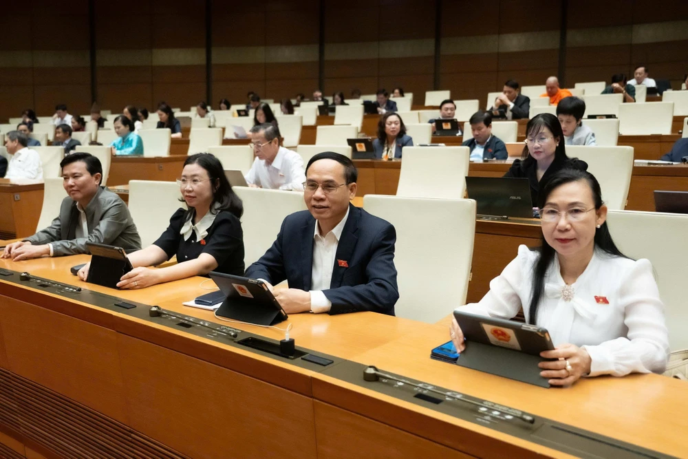 đại biểu quốc hội (6).jpg