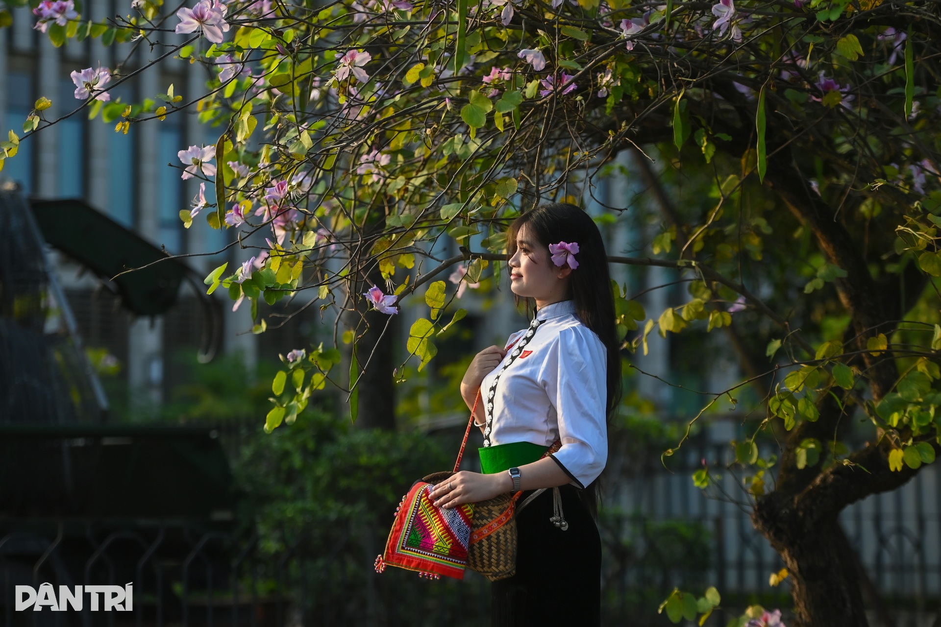 Hà Nội lãng mạn mùa hoa khoe sắc - 7