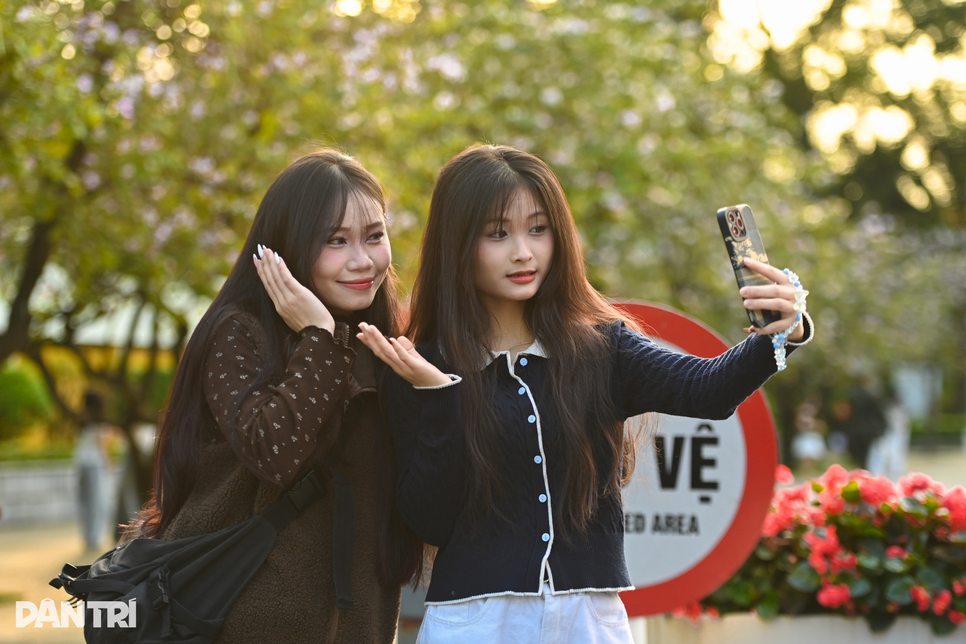 Hà Nội lãng mạn mùa hoa khoe sắc - 8