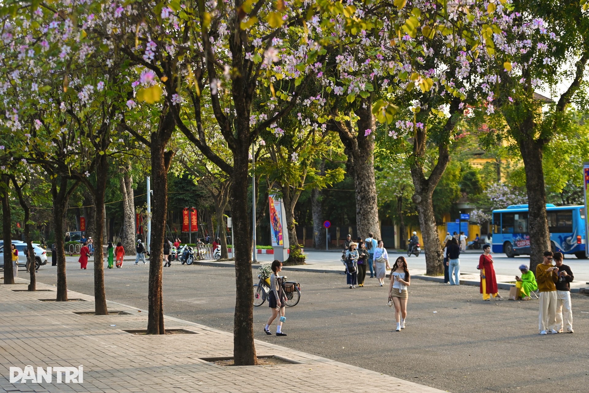 Hà Nội lãng mạn mùa hoa khoe sắc - 10