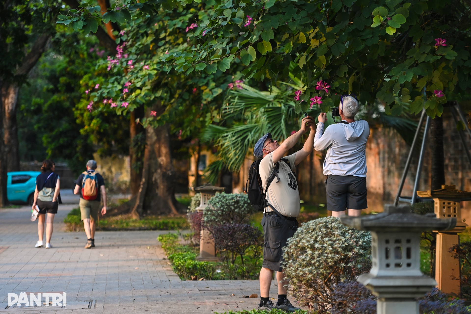 Hà Nội lãng mạn mùa hoa khoe sắc - 11