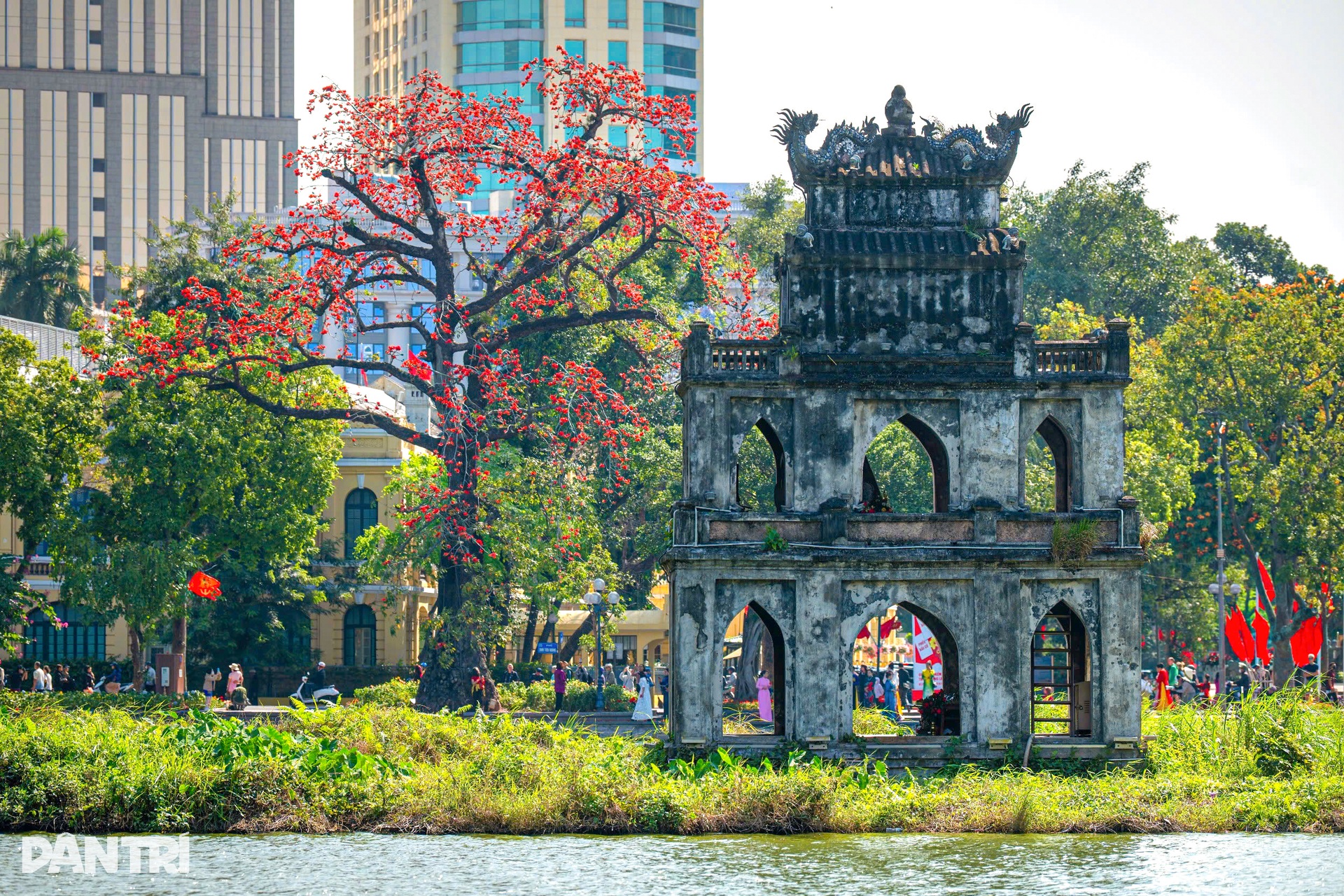 Hà Nội lãng mạn mùa hoa khoe sắc - 12