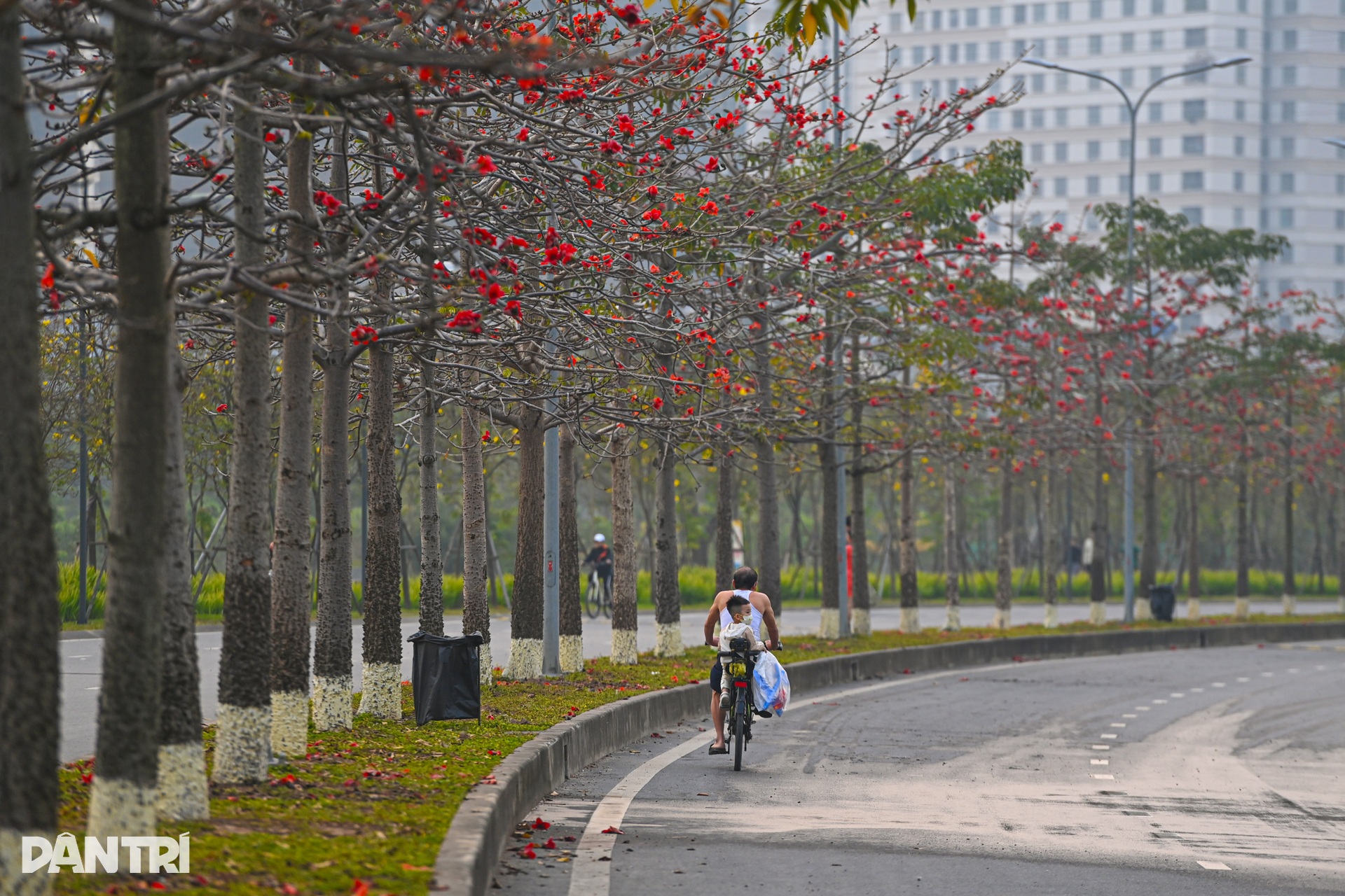Hà Nội lãng mạn mùa hoa khoe sắc - 13