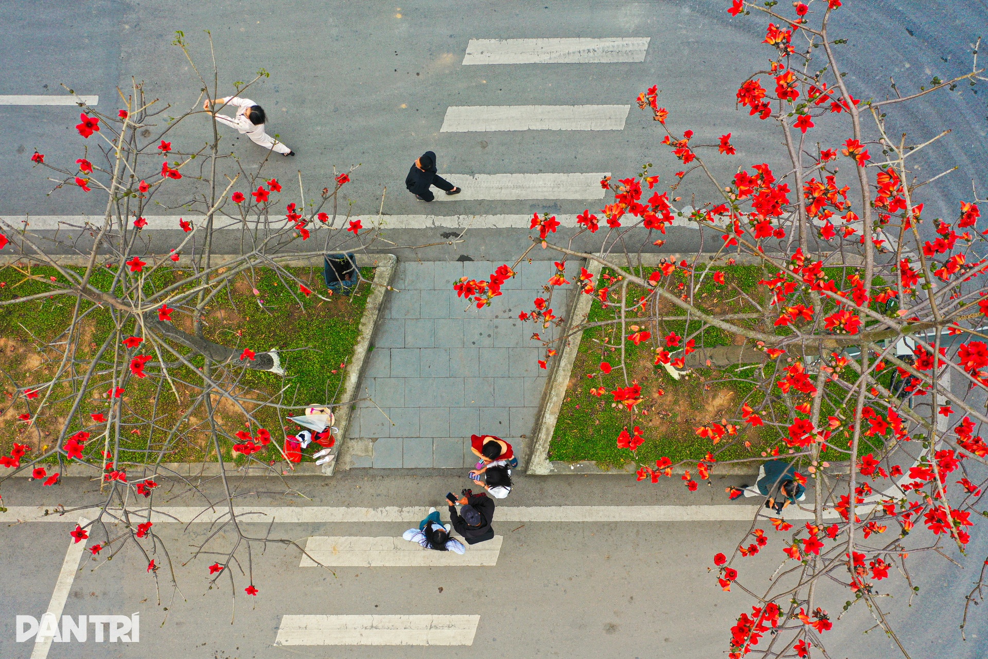 Hà Nội lãng mạn mùa hoa khoe sắc - 14