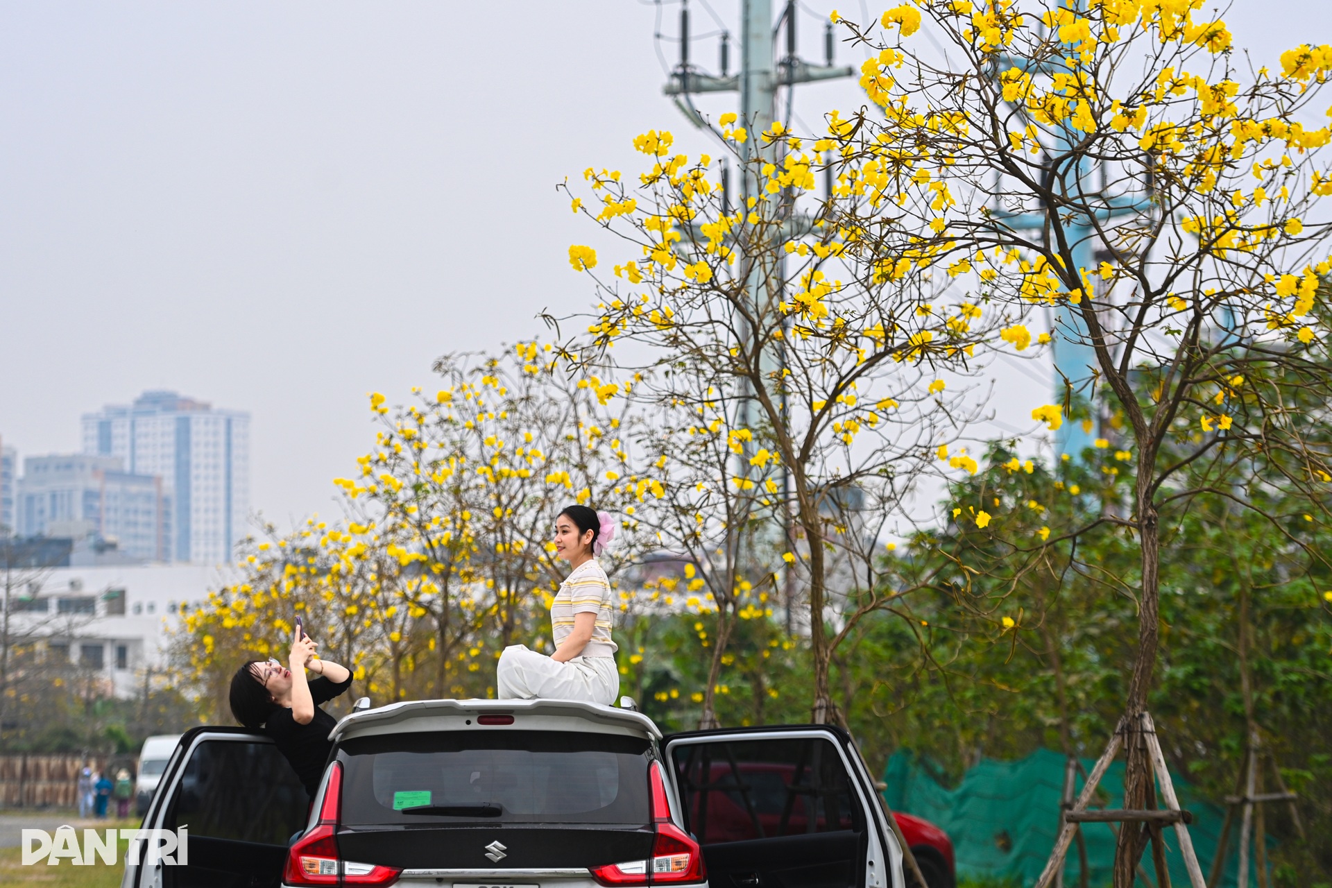 Hà Nội lãng mạn mùa hoa khoe sắc - 15