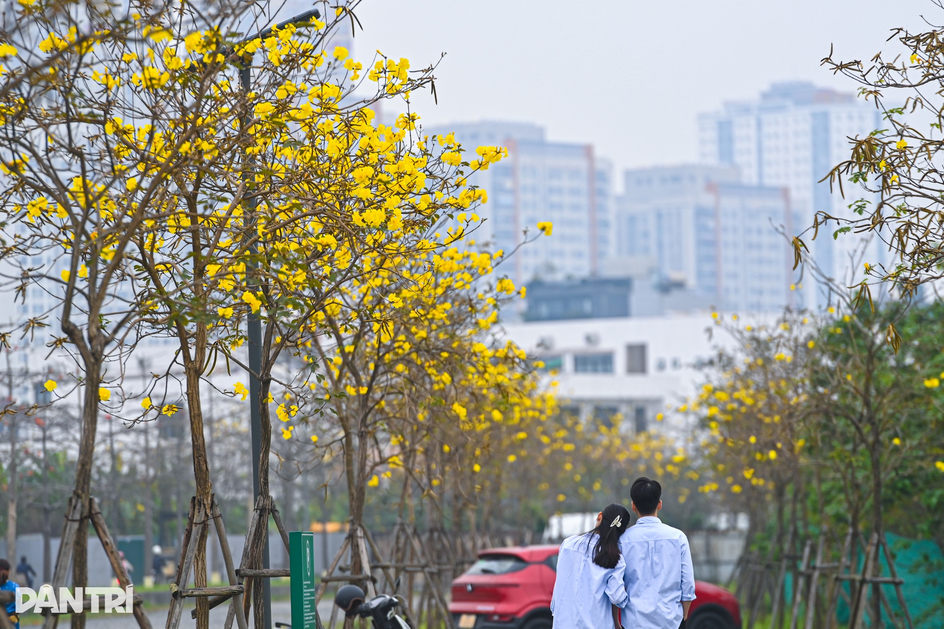 Hà Nội lãng mạn mùa hoa khoe sắc - 16