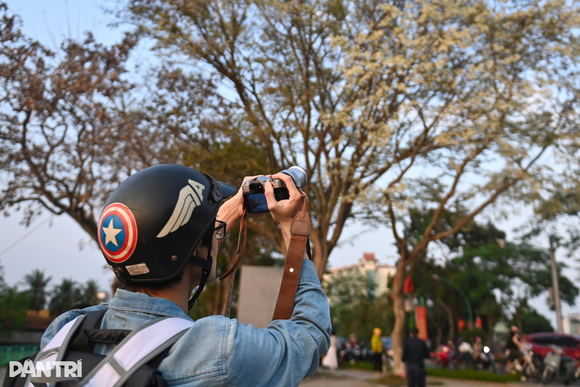 Hà Nội lãng mạn mùa hoa khoe sắc - 19