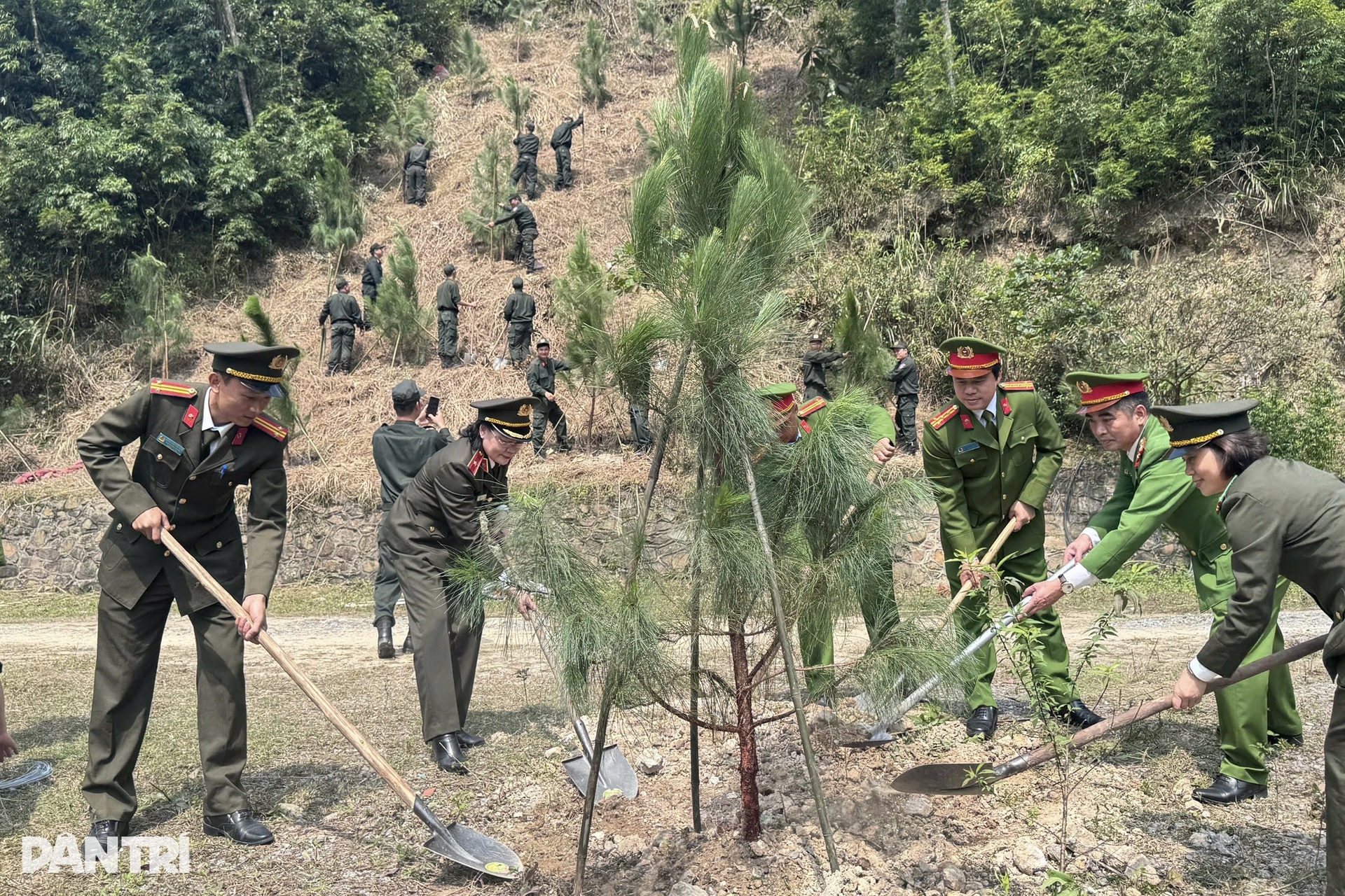 Cục Đào tạo Bộ Công an phát động “Tết trồng cây vì một Việt Nam xanh” - 2