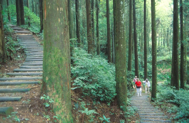 Ảnh: Taiwan Tourism Administration