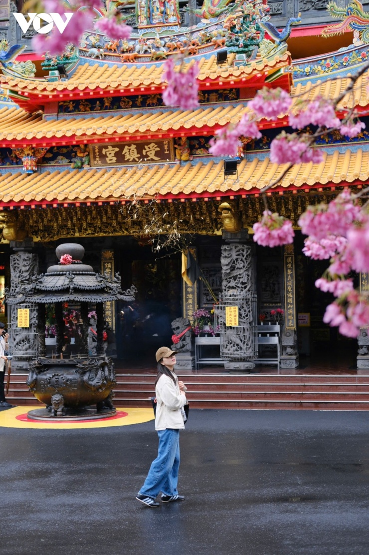 Những cánh hoa nhẹ nhàng rơi theo gió, hòa cùng làn sương núi tạo nên khung cảnh vừa lãng mạn vừa huyền ảo. Chính vì vậy, mùa xuân cũng là thời điểm Alishan thu hút đông đảo du khách và nhiếp ảnh gia đến ghi lại những khoảnh khắc đẹp nhất của thiên nhiên.