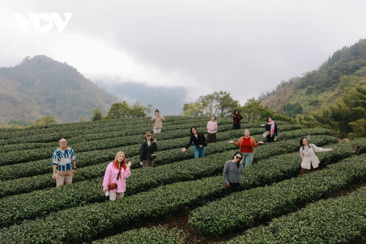 Du xuân Alishan - Lạc giữa biển mây và rừng cổ thụ của Đài Loan - 17