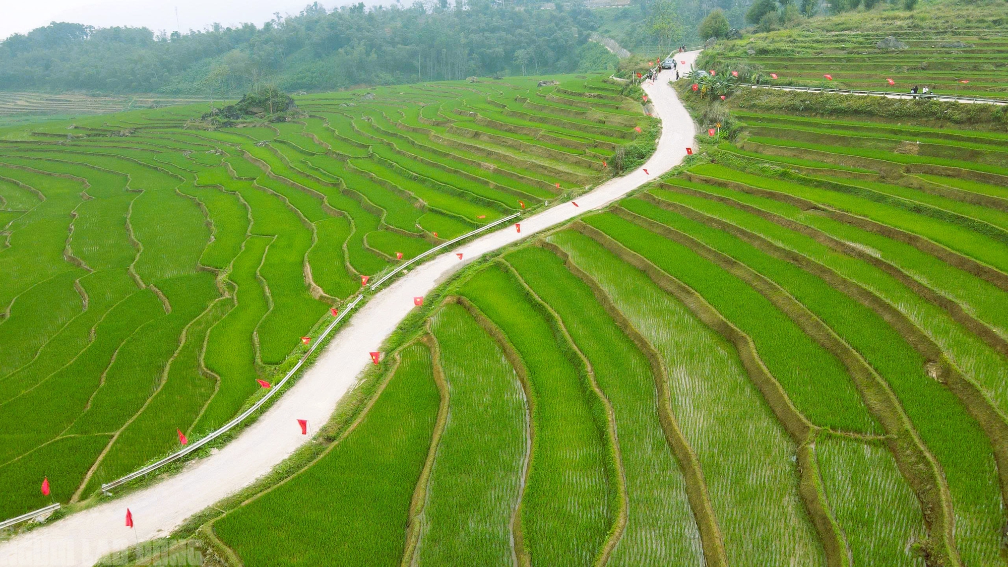 Điểm du lịch nổi tiếng ở Thanh Hóa rực rỡ cờ Tổ quốc trước ngày bầu cử- Ảnh 2.