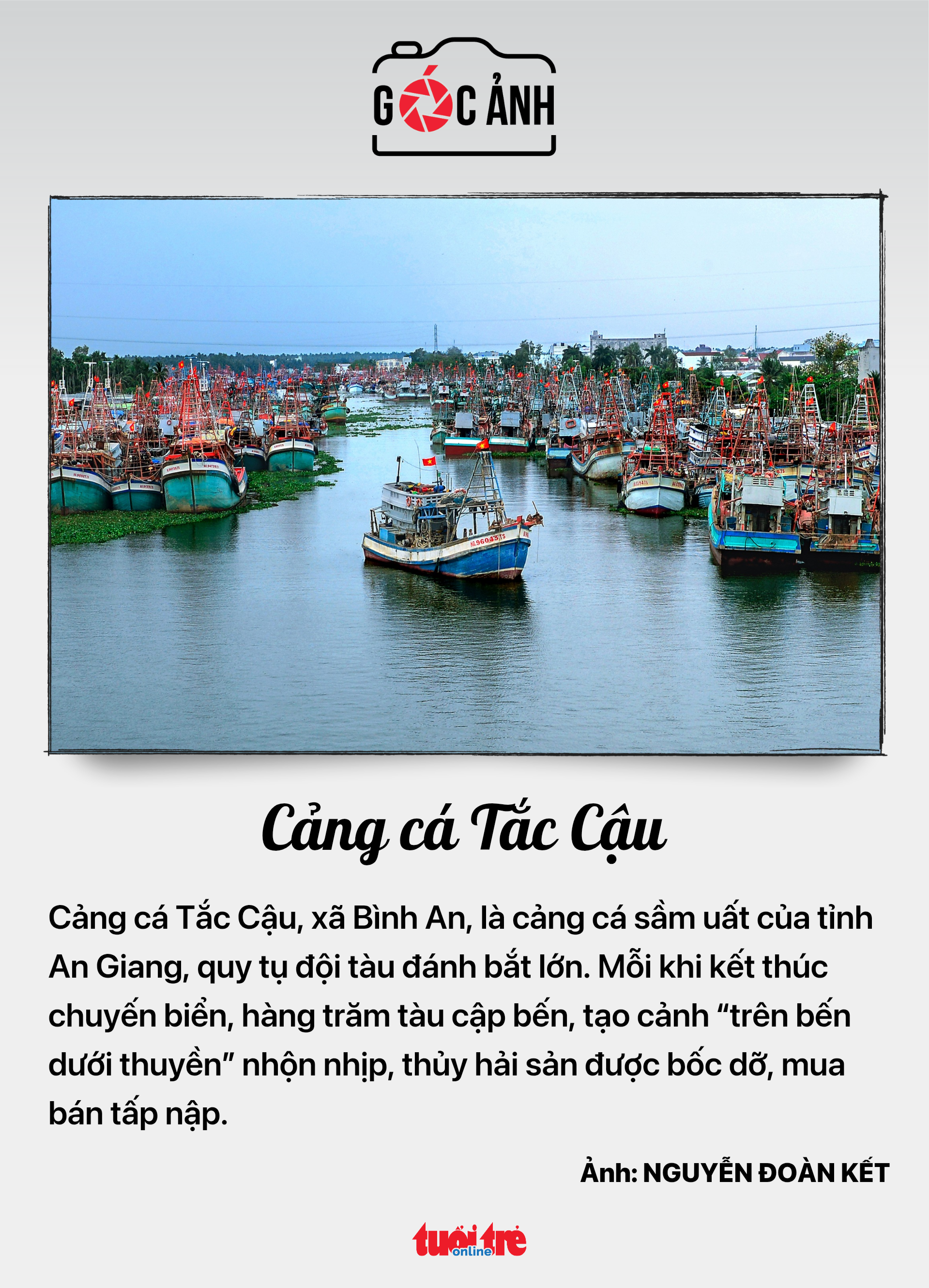 bầu cử - Ảnh 7.