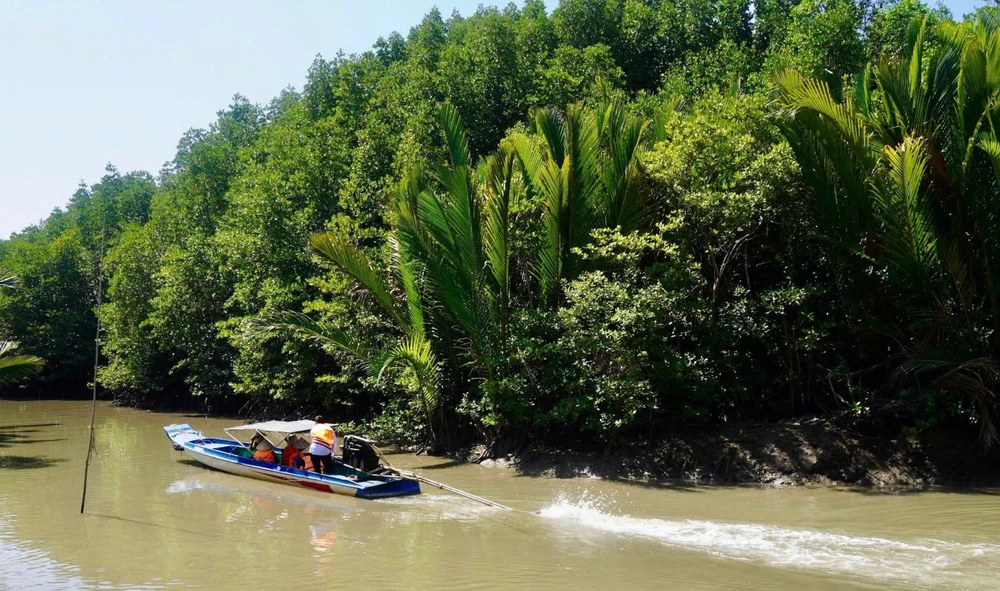 Gia đình chị Lê Thị Mỹ Tiên đi vỏ lãi đến điểm bầu cử. Ảnh: SONG MAI Gia đình chị Lê Thị Mỹ Tiên đi vỏ lãi đến điểm bầu cử. Ảnh: SONG MAI
