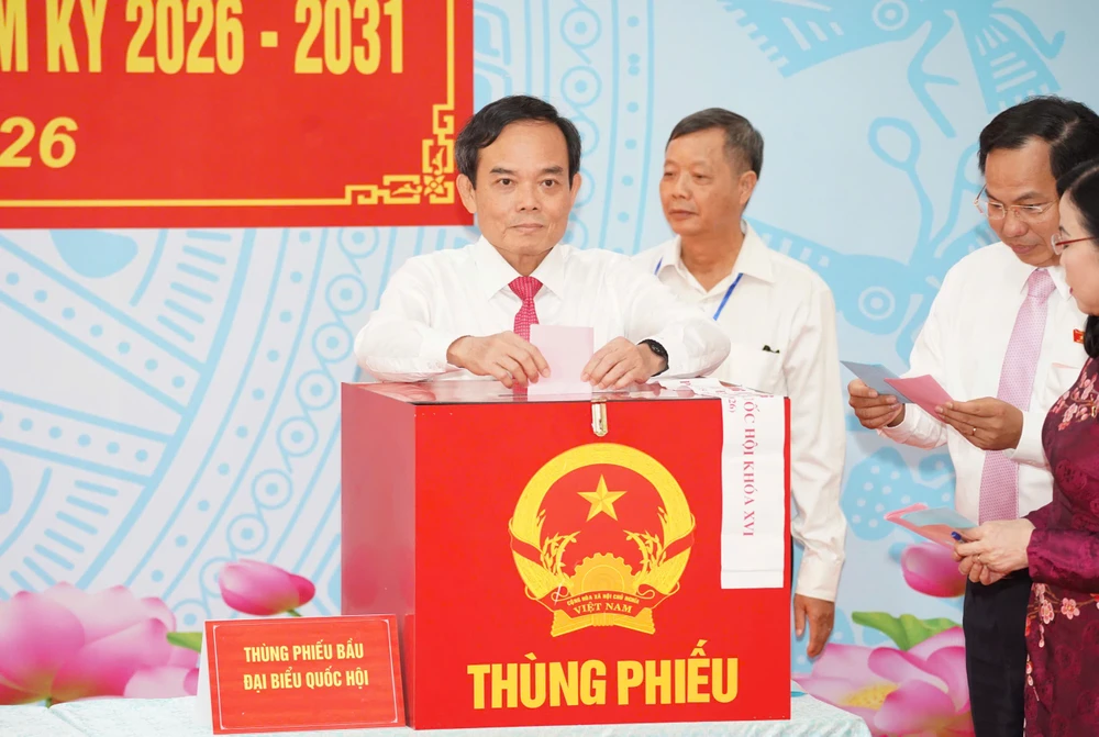 chum-anh-bau-cu-tphcm 8.jpg