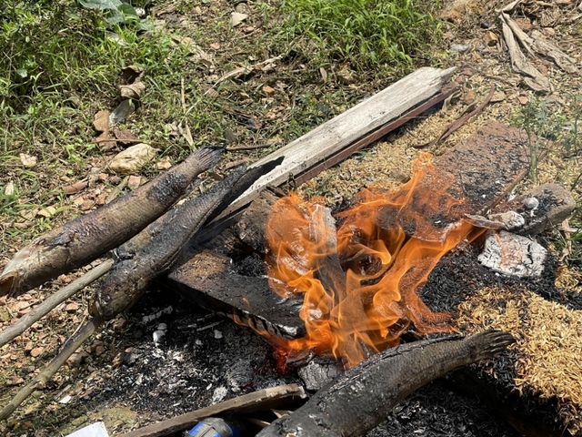 Đặc sản miền Trung 